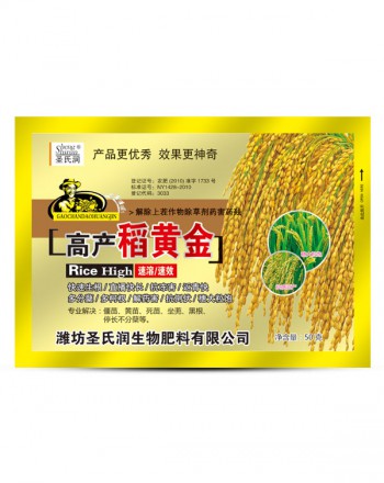 稻黄金