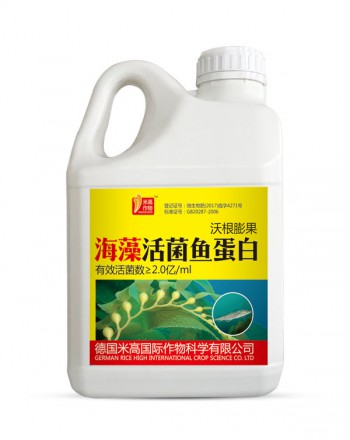 活菌鱼蛋白