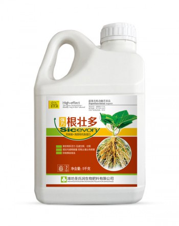 根壮多