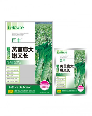 莴苣膨大嫩又长
