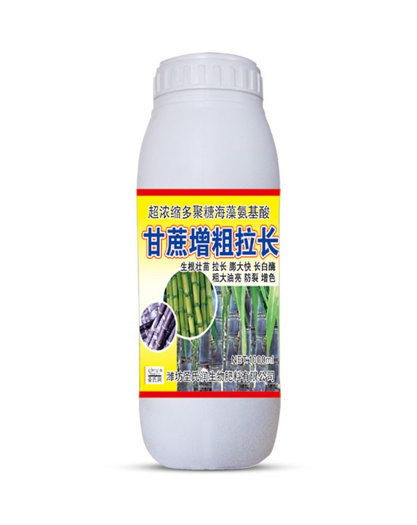 甘蔗增粗拉长