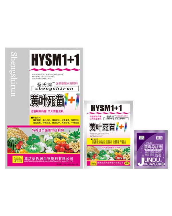 黄叶死苗