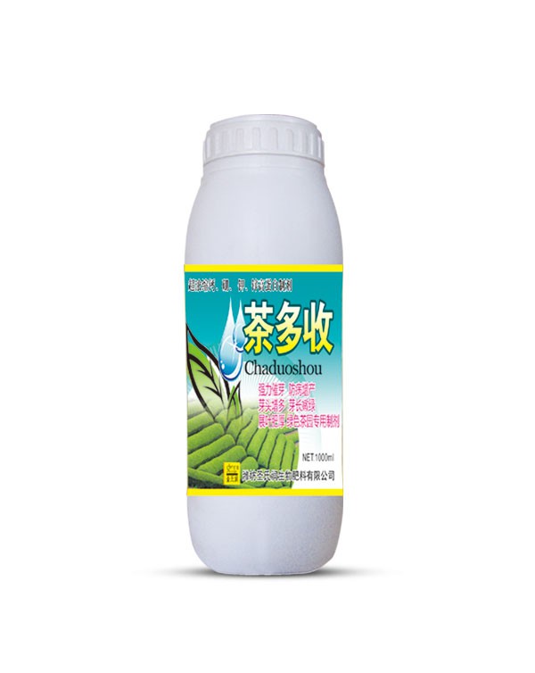 茶多收