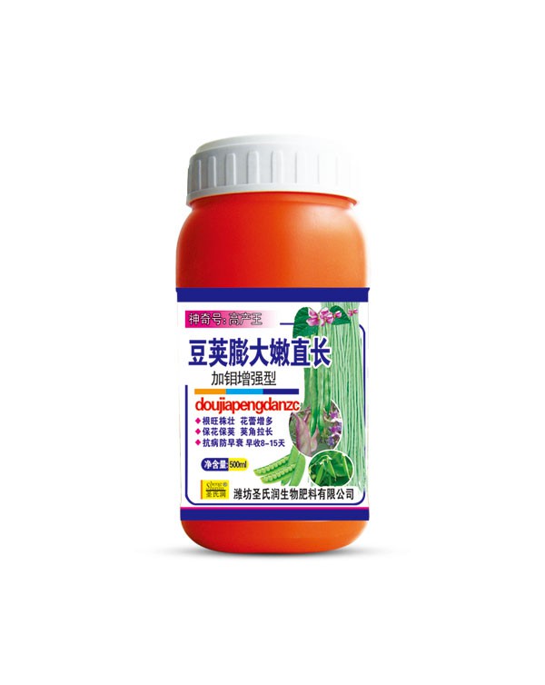 豆荚膨大嫩直长