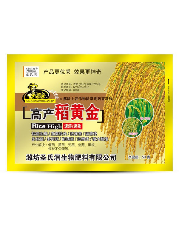 稻黄金