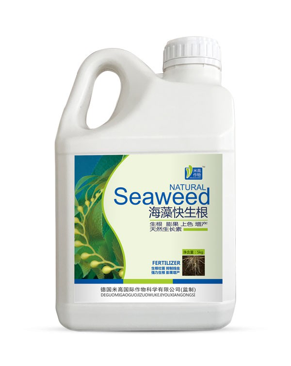 海藻快生根
