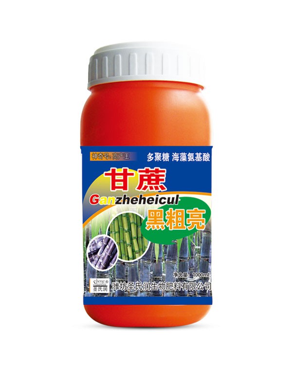 甘蔗黑粗亮